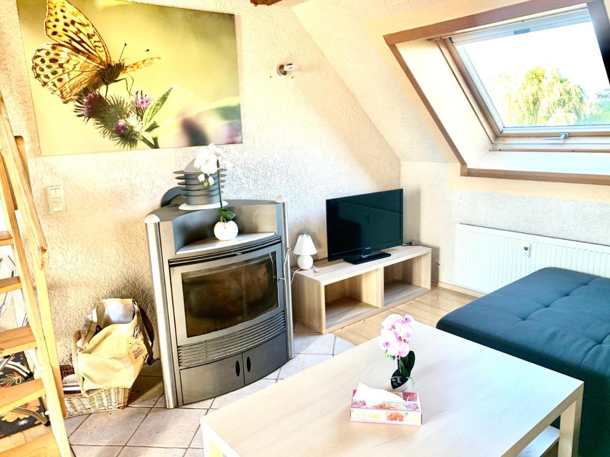#World Ferienwohnung Шкойдіц Екстер'єр фото